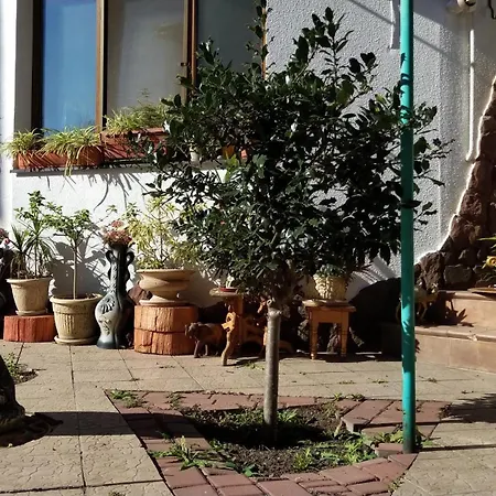 Уют Аркадии Апартаменты В Частном Секторе Guest house *